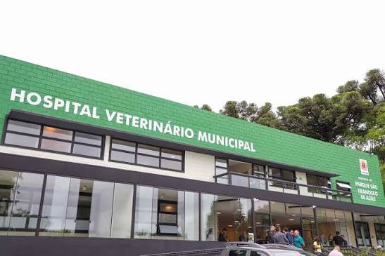 Hospital Veterinário — Henrique Ferreira MG